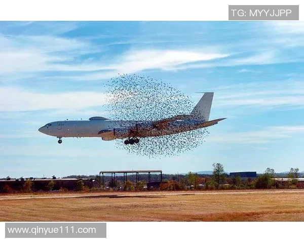 FC巴黎与尼奥特激战回顾赛场精彩瞬间与详细事件分析 FC巴黎与尼奥特激战回顾赛场精彩瞬间与详细事件分析