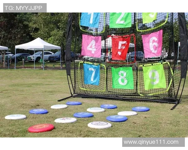 武汉飞盘队的崛起与奋斗精神探索飞盘运动的魅力与团队力量