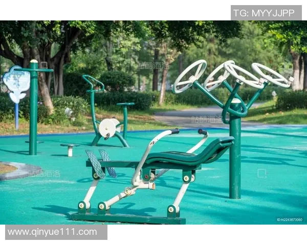 转体健身器材：适合转体练习的健身器材类型与功能说明