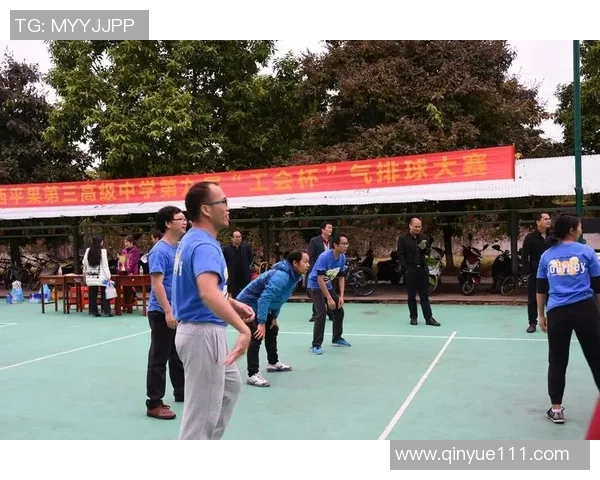 杨敏独家分享排球心得与技巧助你提升球技的秘诀与经验总结