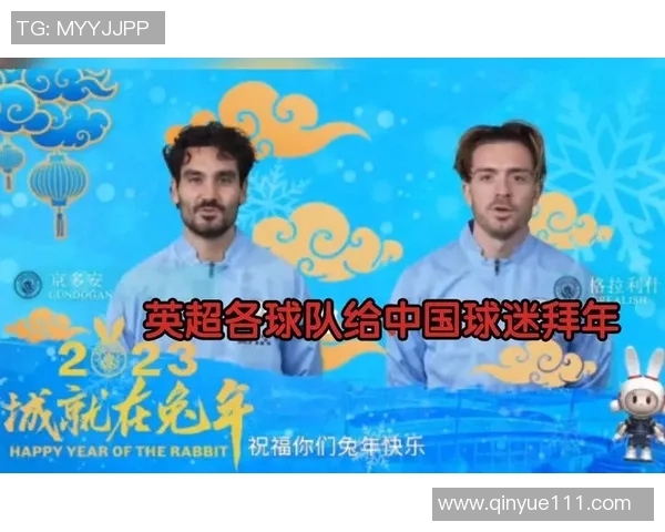 英超各球队球迷排名与球迷文化研究